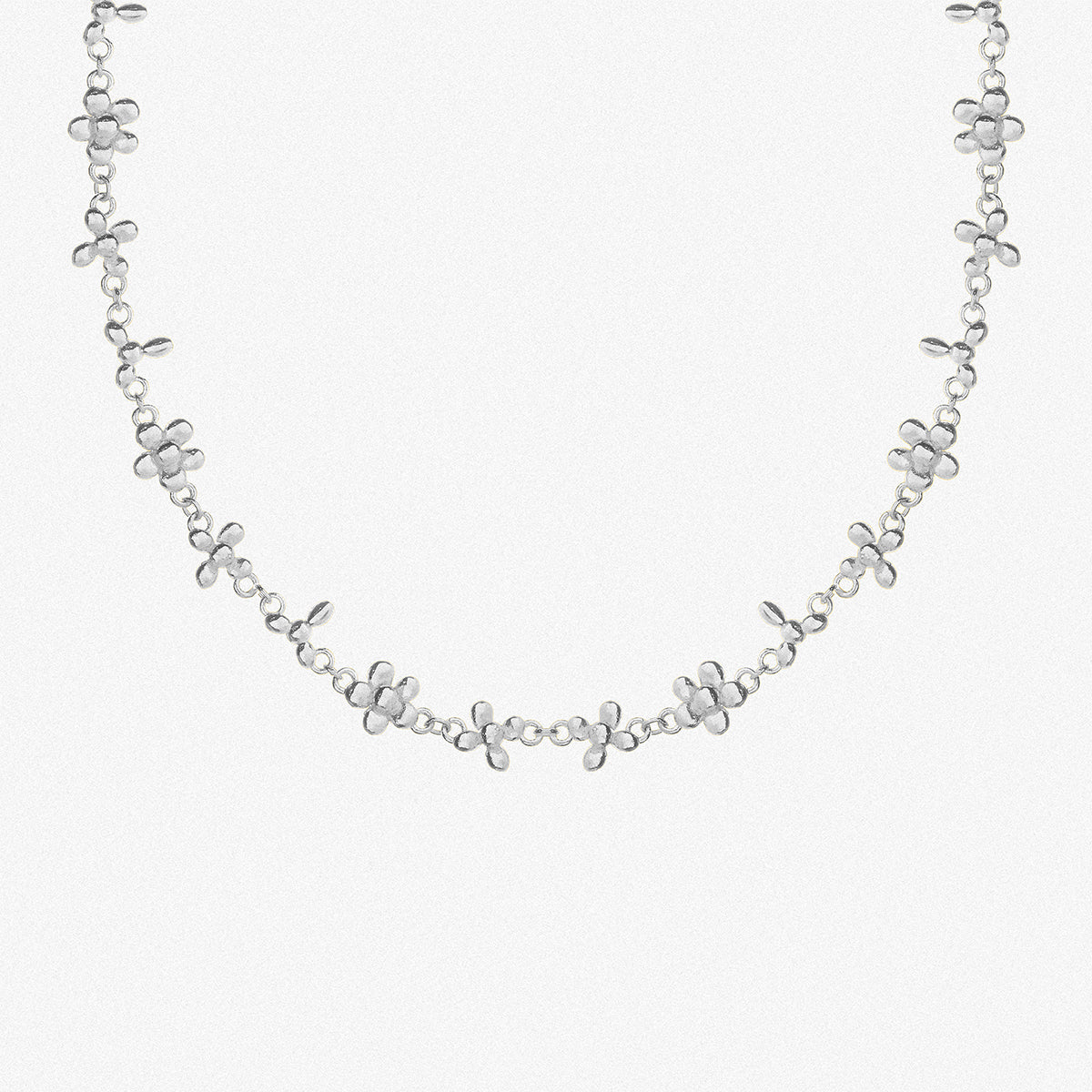 Silver Isabella