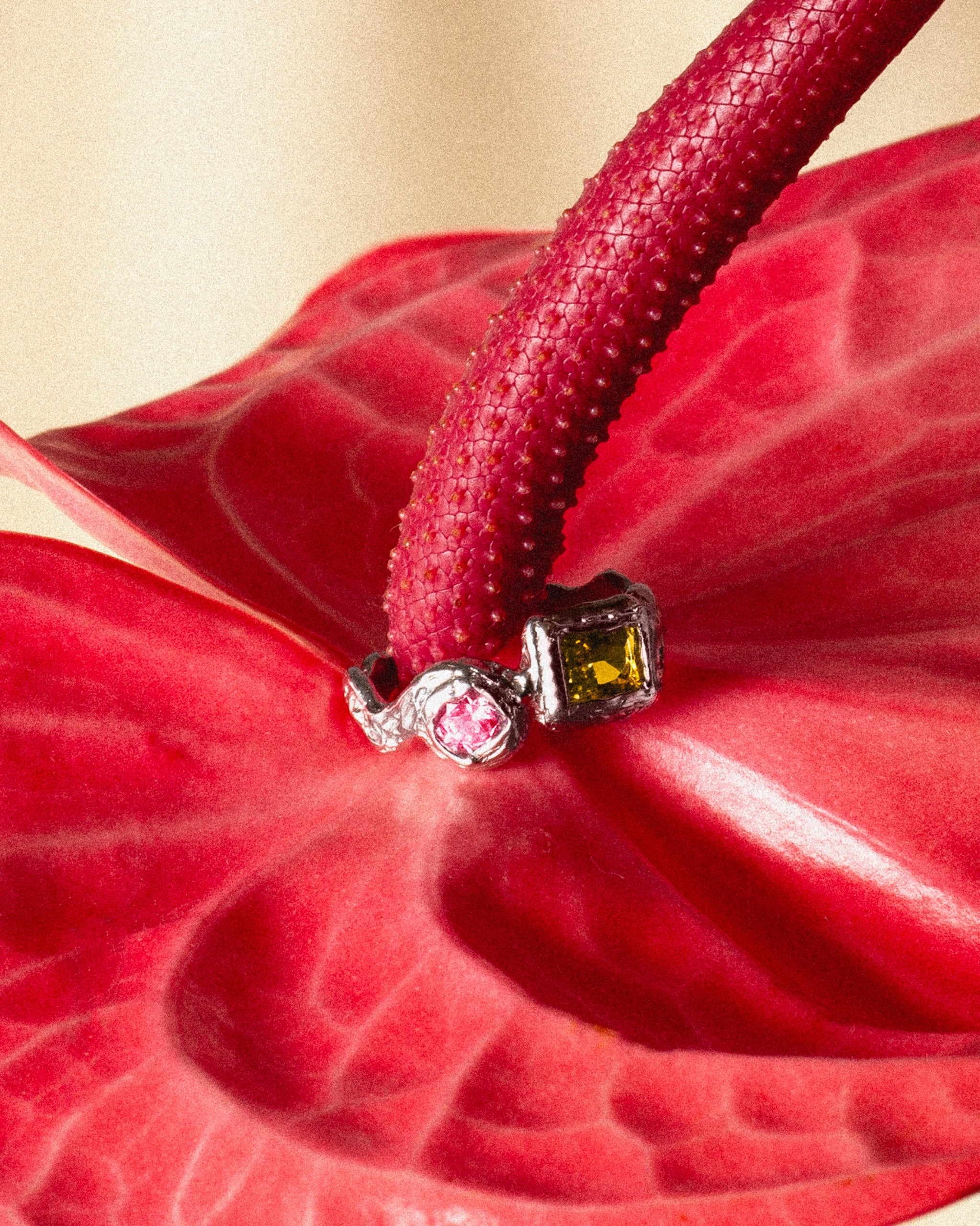 Silver Louise Yellow & Pink